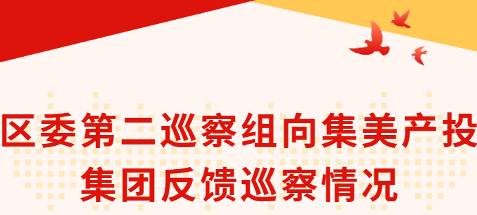 区委第二巡察组向厦门集美产业投资集团有限公司反馈巡察情况